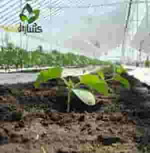 blurred-bg