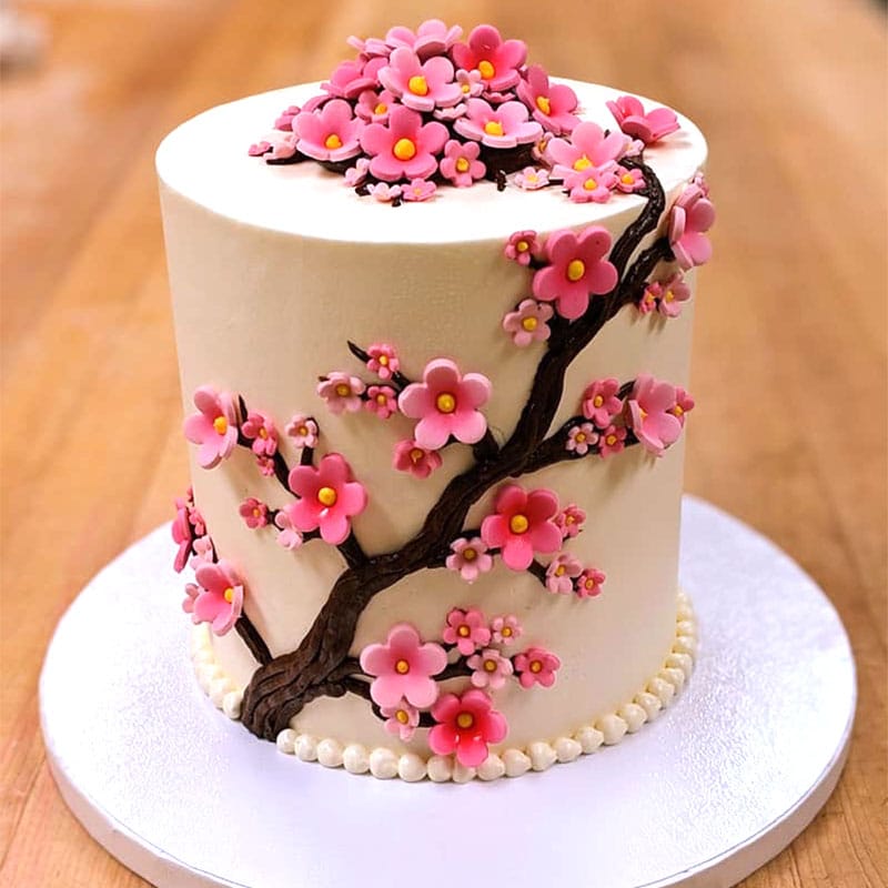 Cherry Blossom Cake-تصویر-0